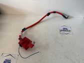 Positive cable (battery)