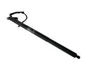 Tailgate/trunk strut/damper