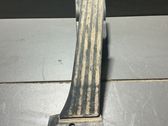 Kaasupoljin