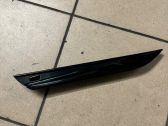 Fender trim (molding)