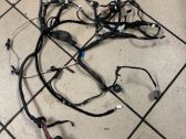 Rear door wiring loom