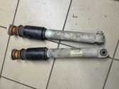 Rear shock absorber/damper