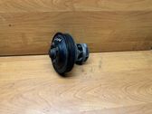Water pump pulley