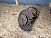 Rear wheel hub spindle/knuckle