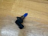 Fog light bulb