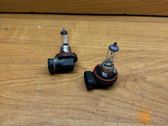 Fog light bulb