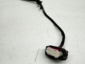 Other wiring loom