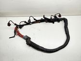 Fuel injector wires