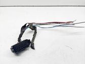 Other wiring loom