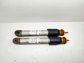 Rear shock absorber/damper