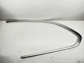 Rear side glass trim