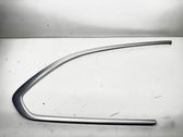 Rear side glass trim