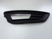 Front fog light trim/grill