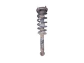 Rear shock absorber with coil spring