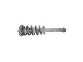Rear shock absorber with coil spring