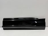 Rear door trim (molding)