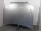 Engine bonnet/hood