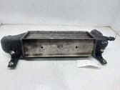Radiador intercooler