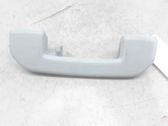 Front interior roof grab handle