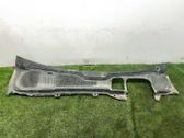 Moldura del limpia
