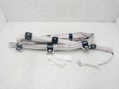 Airbag del techo
