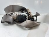Sicherheitsgurt vorne