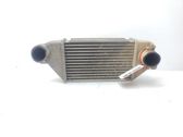Radiador intercooler