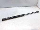 Tailgate/trunk strut/damper