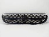 Atrapa chłodnicy / Grill