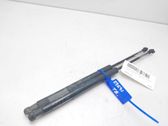 Tailgate/trunk strut/damper