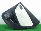 Moldura del tarjetero de la puerta trasera