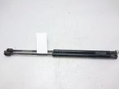 Tailgate/trunk strut/damper