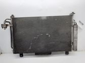 Gaisa kondicioniera dzeses radiators