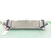 Radiador intercooler