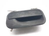 Manecilla externa puerta trasera