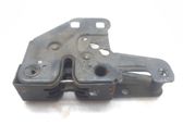 Tie down hook / loop