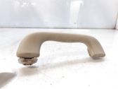 Rear interior roof grab handle
