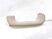 Front interior roof grab handle