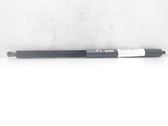 Tailgate/trunk strut/damper