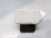 Manecilla externa puerta delantera