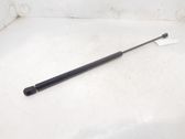 Tailgate/trunk strut/damper