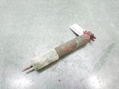 Front shock absorber/damper