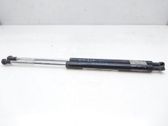 Tailgate/trunk strut/damper