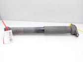 Rear shock absorber/damper