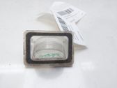 Number plate light