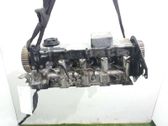 Culata del motor