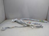 Airbag del techo