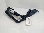 Airbag del techo