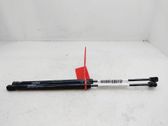Tailgate/trunk strut/damper
