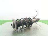 Front shock absorber/damper